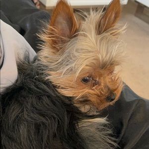 Meet your Posher, Jillian